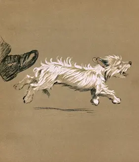 Illustration by Cecil Aldin, Mac