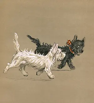 Illustration by Cecil Aldin, Mac