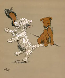 Illustration by Cecil Aldin, Mac