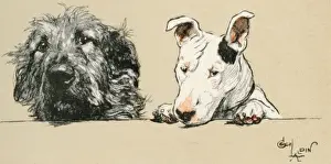 Illustration by Cecil Aldin, Micky and Cracker