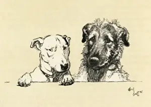 Illustration by Cecil Aldin, Micky and Cracker