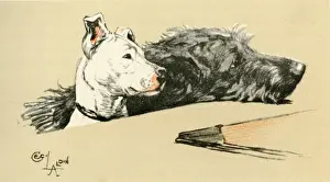 Illustration by Cecil Aldin, Micky and Cracker