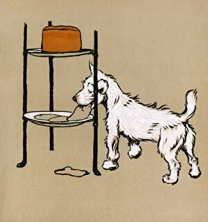 Images Dated 5th November 2015: Illustration by Cecil Aldin, The Mongrel Puppy Book