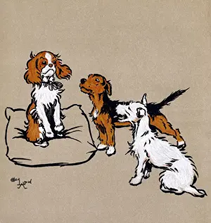 Illustration by Cecil Aldin, The Mongrel Puppy Book