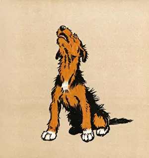 Illustration by Cecil Aldin, The Mongrel Puppy Book