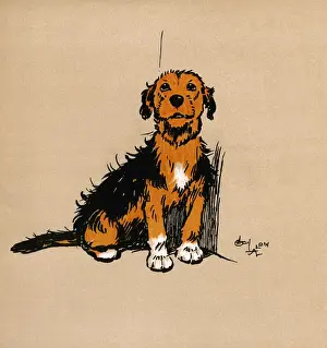 Illustration by Cecil Aldin, The Mongrel Puppy Book