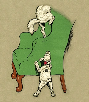 White Puppy and Cat 1909
