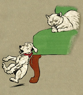 White Puppy and Cat 1909