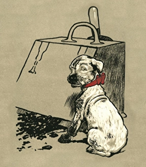 White Puppy and Cat 1909