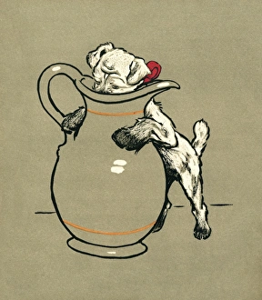 White Puppy and Cat 1909