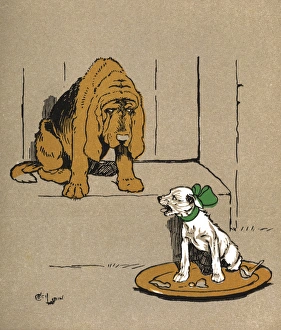 Dog with Green Collar