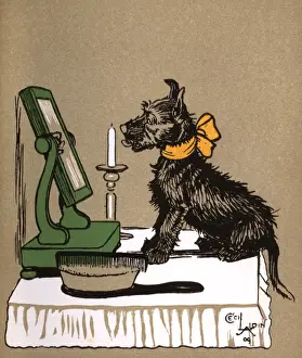 Illustration by Cecil Aldin, Puppy Tails