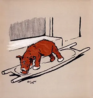 Illustration by Cecil Aldin, The Red Puppy Book