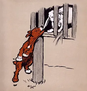 Illustration by Cecil Aldin, The Red Puppy Book