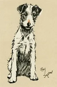 Illustration by Cecil Aldin, rough-haired terrier