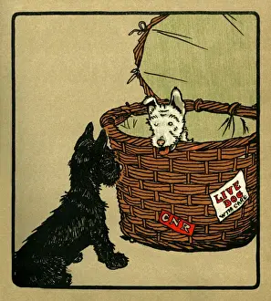 Illustration by Cecil Aldin, Rough and Tumble