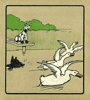 Illustration by Cecil Aldin, Rough and Tumble