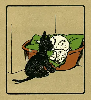 Illustration by Cecil Aldin, Rough and Tumble