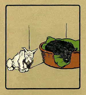 Illustration by Cecil Aldin, Rough and Tumble