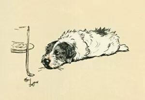 Illustration by Cecil Aldin, Sealyham terrier