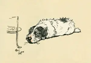 Stealing Prints: Illustration by Cecil Aldin, Sealyham terrier