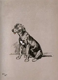 Illustration by Cecil Aldin, The Snob