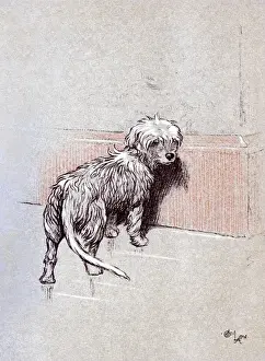Illustration by Cecil Aldin, The Snob