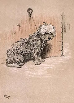 Illustration by Cecil Aldin, The Snob