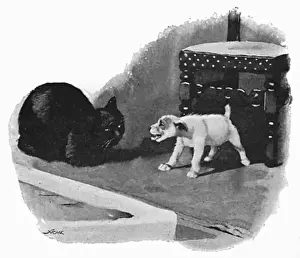 Autobiography Prints: Illustration by Cecil Aldin, Spot meets a cat