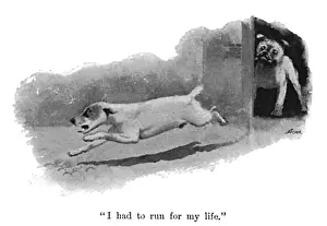 Frightened Prints: Illustration by Cecil Aldin, Spot runs away from a bulldog
