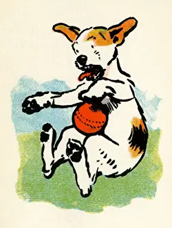 Illustration by Cecil Aldin, Stories from Puppyland