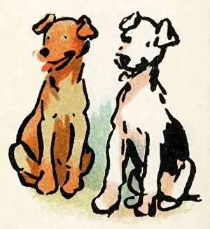 Illustration by Cecil Aldin, Stories from Puppyland