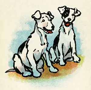 Illustration by Cecil Aldin, Stories from Puppyland