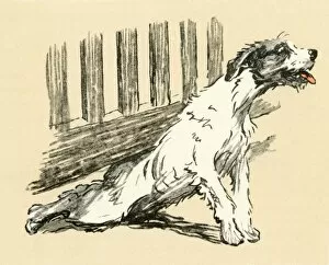 Illustration by Cecil Aldin, terrier returning home