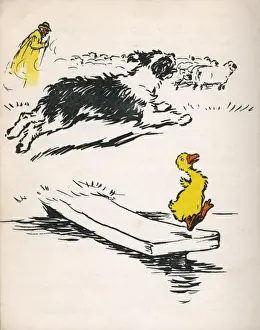 Running Prints: Illustration by Cecil Aldin, Ugly Duckling