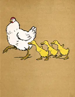 Illustration by Cecil Aldin, Ugly Duckling