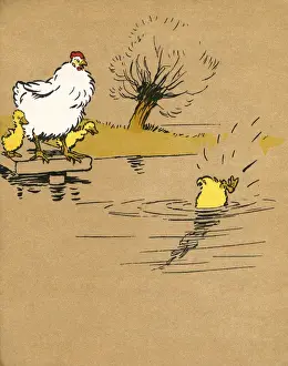 Illustration by Cecil Aldin, Ugly Duckling