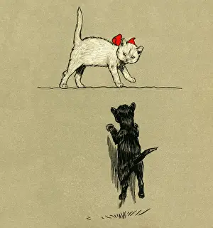 Encounter Prints: Illustration by Cecil Aldin, The White Kitten Book