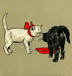 Illustration by Cecil Aldin, The White Kitten Book