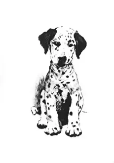 Illustration by Cecil Aldin, The White Kitten Book