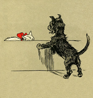 White Puppy and Cat 1909