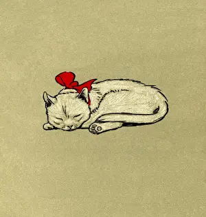 Illustration by Cecil Aldin, The White Kitten Book