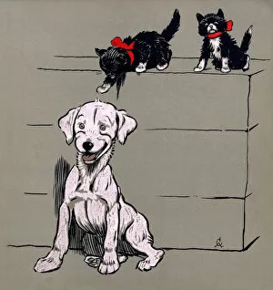 Images Dated 5th November 2015: Illustration by Cecil Aldin, The White Puppy Book