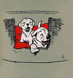 Illustration by Cecil Aldin, The White Puppy Book