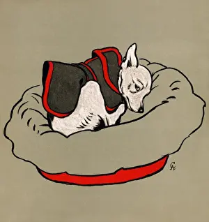 Illustration by Cecil Aldin, The White Puppy Book
