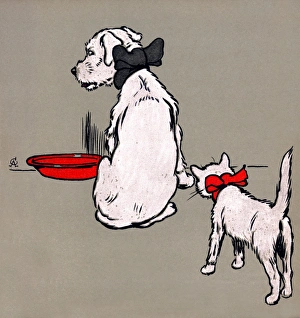 White Puppy and Cat 1909