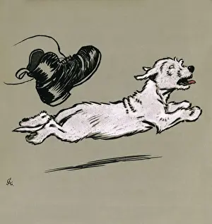 Illustration by Cecil Aldin, The White Puppy Book