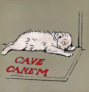 Illustration by Cecil Aldin, The White Puppy Book