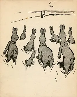 Illustration by Cecil Aldin, White Rabbit