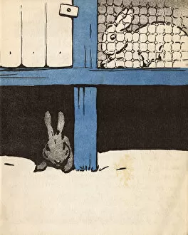 Caged Gallery: Illustration by Cecil Aldin, White Rabbit